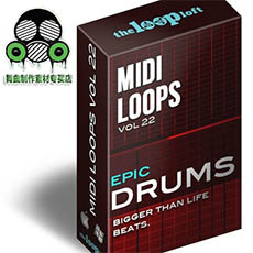 TheLoopLoft厂牌 Midi鼓素材 Drum Loop Vol 2